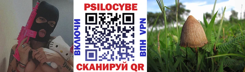 Псилоцибиновые грибы Psilocybe  купить  цена  Колпашево 