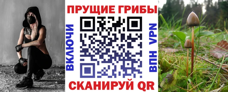 Галлюциногенные грибы MAGIC MUSHROOMS Колпашево